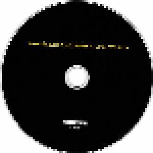 Einstürzende Neubauten: Greatest Hits (CD) - Bild 4