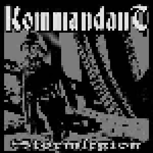 Kommandant: Stormlegion (LP) - Bild 1