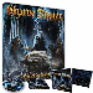 Grave Digger: Healed By Metal (CD) - Bild 4