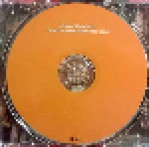 Lynyrd Skynyrd: (Pronounced 'leh-'nérd 'skin-'nérd) (CD) - Bild 3