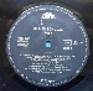 Klaus Schulze: Dig It (LP) - Bild 3