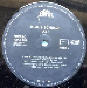 Klaus Schulze: Dig It (LP) - Bild 4