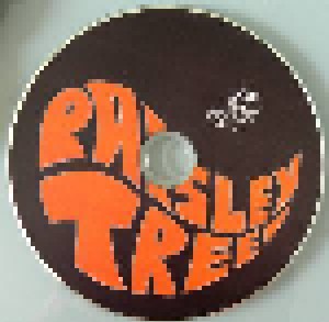 Paisley Tree: Colour Trop (CD) - Bild 5