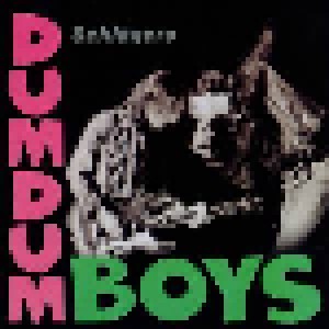 Cover - DumDum Boys: Schlägers