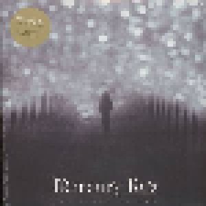 Mercury Rev: The Light In You (LP + CD) - Bild 1