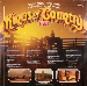 Kings Of Country - Rodeo Edition II (LP) - Bild 2