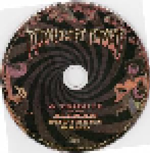 Midnight Rider: A Tribute To The Allman Brothers Band (CD) - Bild 3