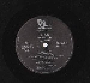 Ja Rule: Pain Is Love (2-Promo-LP) - Bild 1