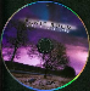 Panic Room: Satellite (CD + DVD) - Bild 3