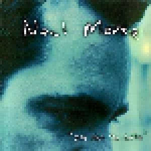 Neal Morse: It's Not Too Late - Cover