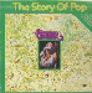 Cher: Story Of Pop, The - Cover