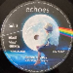Echoes: Barefoot To The Moon - An Acoustic Tribute To Pink Floyd (2-LP) - Bild 9