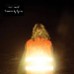 Scout Niblett: Kidnapped By Neptune (2-LP) - Bild 1