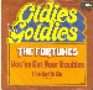 Cover - Fortunes, The: You've Got Your Troubles