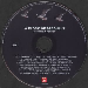 A Flock Of Seagulls: Remixes & Rarities (2-CD) - Bild 4