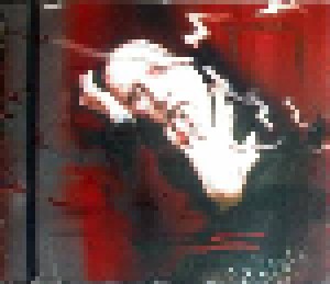 Marilyn Manson: Vandalism Aesthetics (CD) - Bild 4