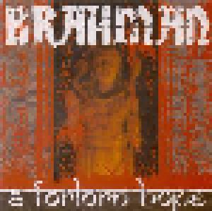 Cover - Brahman: Forlorn Hope, A