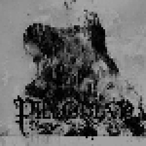 Pillorian: Obsidian Arc (LP) - Bild 1