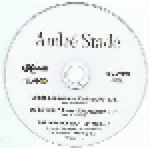 André Stade: Du Bist Mein Zuhause (Promo-Single-CD) - Bild 3