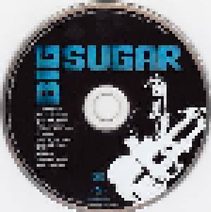 Big Sugar: Brothers And Sisters, Etes Vous Ready? (CD) - Bild 3