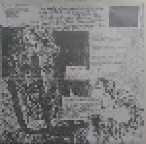 Sonic Youth: Evol (LP) - Bild 6