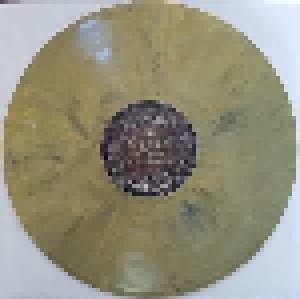 The Neal Morse Band: The Similitude Of A Dream (3-LP + 2-CD) - Bild 3