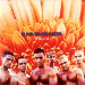 Rammstein: Herzeleid (CD) - Bild 1