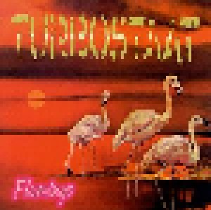 Turbostaat: Flamingo (CD) - Bild 1