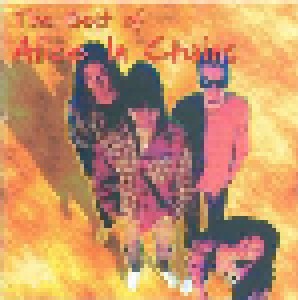 Alice In Chains: The Best Of (CD) - Bild 1