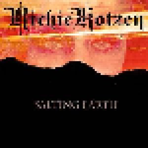 Richie Kotzen: Salting Earth (CD) - Bild 1