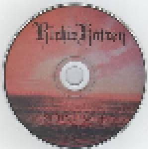 Richie Kotzen: Salting Earth (CD) - Bild 3