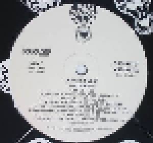 Jermaine Dupri: Instructions (2-Promo-LP) - Bild 1