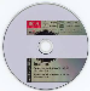 Johannes Brahms: Symphonies 1-4 (2-CD) - Bild 8