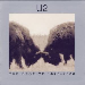 U2: The Best Of 1990-2000 & B-Sides (2-CD + Promo-DVD) - Bild 5