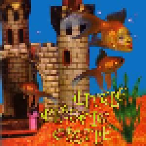 Ani DiFranco: Little Plastic Castle (CD) - Bild 1
