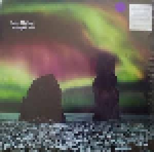 Steve Hackett: The Night Siren (2-LP + CD) - Bild 2