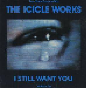 The Icicle Works: I Still Want You - Cover