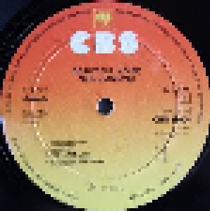 Neil Diamond: Beautiful Noise (LP) - Bild 3