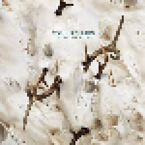 Colin Stetson: All This I Do For Glory (LP) - Bild 1