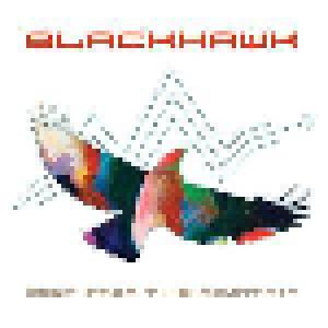 BlackHawk: Down From The Mountain - Cover