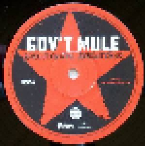 Gov't Mule: Revolution Come...Revolution Go (2-LP) - Bild 3