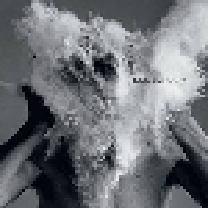 The Afghan Whigs: Do To The Beast (CD) - Bild 1