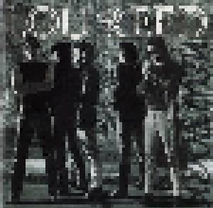 Lou Reed: New York (LP) - Bild 1