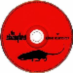 The Stranglers: IV / Rattus Norvegicus (CD) - Bild 9