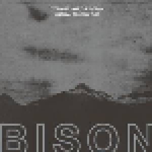Bison B.C.: You Are Not The Ocean You Are The Patient (LP) - Bild 1