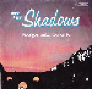 The Shadows: Rodrigo's Guitar Concerto - Cover