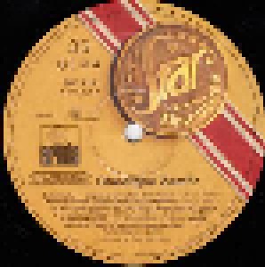 Gheorghe Zamfir: Star-Discothek (LP) - Bild 4