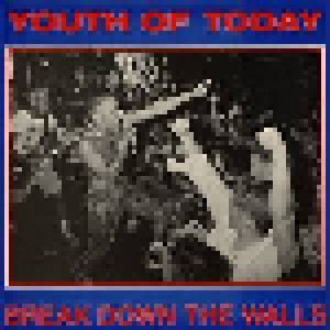 Youth Of Today: Break Down The Walls (LP) - Bild 1