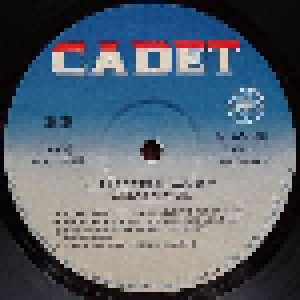 Muddy Waters: Electric Mud (LP) - Bild 5