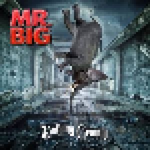 Mr. Big: Defying Gravity (CD) - Bild 1